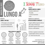 Lungo A